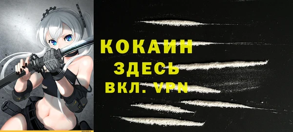 эйфоретик Кукмор