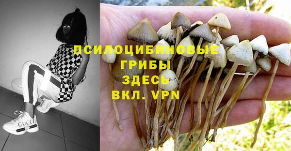 эйфоретик Кукмор
